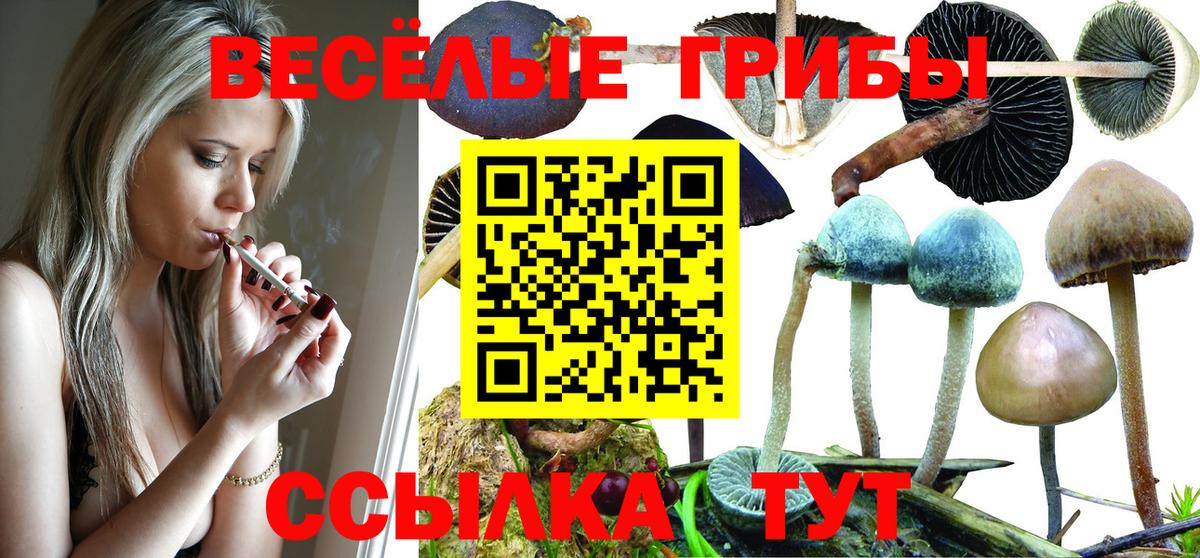 Гурьевск  Галлюциногенные грибы ЛСД  Вход с VPN 